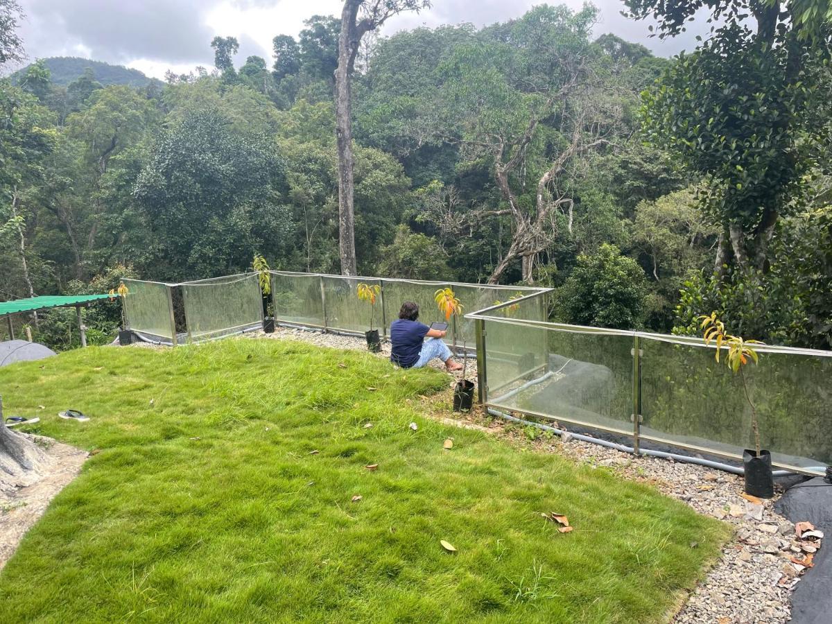 Rai'S Coorg Cave House Villa Madikeri Ngoại thất bức ảnh